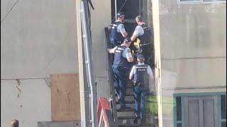 Police raid Ferrymead property