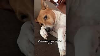 Life at home | Otara Gunewardene