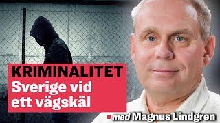 Kriminalitet: Sverige vid ett vägskäl – med Magnus Lindgren