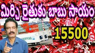 మిర్చి రైతుకు సీఎం భరోసా Guntur Mirchi Market Report Mirchi Exports Teja Chilli Rate Byadigi Mirchi