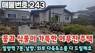 [매물번호 243]  꽃과 식물이 가득한 야무진 주택, 밀양역7분, 남향, 외부의다육&소품 다 드릴게요#밀양부동산 #밀양전원주택 #밀양촌집 #밀양삼랑진주택