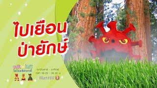 ไปเยือนป่ายักษ์ : TataTitiToto ไดโนมหัศจรรย์ (13 มิ.ย. 63)