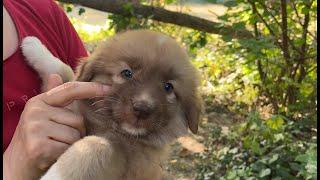 We gave a belly  and fed the chubby puppy that arrived a bit late.