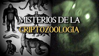 LOS MISTERIOS DE LA CRIPTOZOOLOGIA (historias escalofriantes de encuentros cercanos)