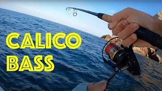 Epic Saltwater Bass Fishing ||| HONEY HOLE FISHING