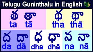 ta tha da dha na guninthalu in English | త థ ద ధ న గుణింతాలు| How to write telugu guninthalu