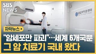 "암세포만 파괴"…세계 6개국뿐, 그 암 치료기 국내 왔다 (자막뉴스) / SBS