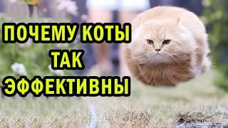 Самая милая имба в мете | Земля - это игра