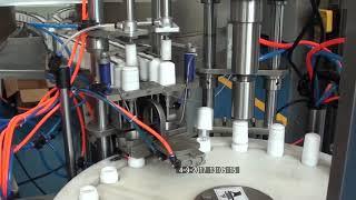 Automatic 2 Head Liquid Filling Capping Machine