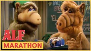 ALF's Melmac Traditions | ALF | FULL Episode Marathon