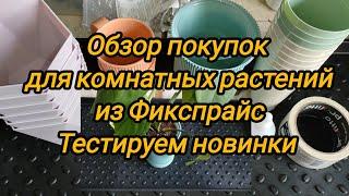 Обзор покупок для комнатных растений из Фикспрайс. Протестируем новинки.