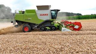 Уборка пшеницы 2023г, в Германии!  Комбайн Claas Lexion 770.