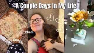 A Couple Days In My Life|Making Lazy Lasagna,Legos & Chatting About Everything