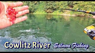 Fishing The Cowlitz River For Anything That Bites