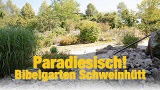 Paradiesisches Kleinod: Bibelgarten Schweinhütt