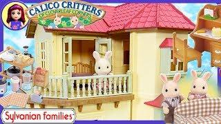 Calico Critters Sylvanian Families Luxury Townhome Beechwood Hall Gift Set Review Set Up Kids Toys