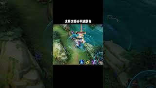 王者榮耀：蔡文姬分不清敵我