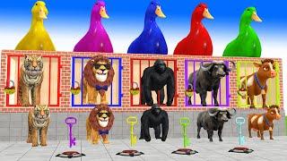 Paint Animals Cow Elephant Lion Tiger Gorilla Funny 3d Animal Transformation Crossing Fountain Game