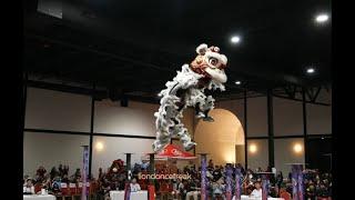 CHAMPION - Leung's White Crane Team Red - 2024 USA High Pole Lion Dance Championship