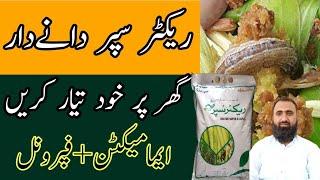 Best Insecticide for Fall Armyworm|How to Make Rector Super at Home | Bilal Kanju Official