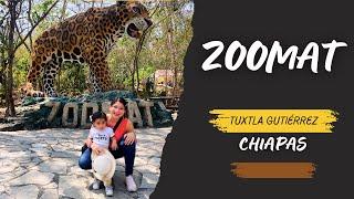 Zoológico de Tuxtla Gutiérrez, Chiapas  | ZOOMAT