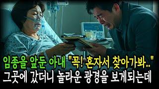 임종 하루 전날 "꼭 혼자 찾아가" 보라는 아내의 유언.. 놀라운 광경을 목격하게 되는데