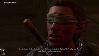 Baldur's Gate 3 - Disable The Steel Watch: Talk To Gondian Zanner Toobin "The Titan" Cutscene