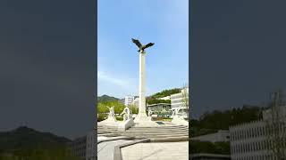 컬러풀 연세