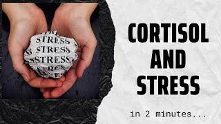Cortisol the stress hormone in 2 mins!