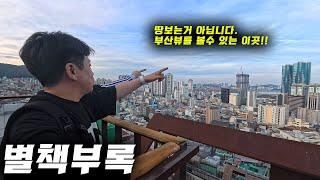 [4K] 동백섬 둘레길 한바퀴 그리고 부산역 건너 초량동 이바구길 산책