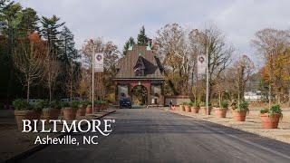 Reopening After Tropical Storm Helene | Biltmore, Asheville, NC