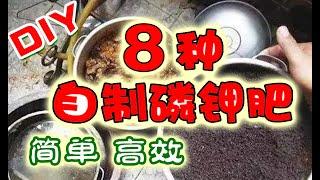 DIY 自製8種磷鉀肥，肥效持久，操作簡單，家家都可以做，所有植物都喜歡它們 8 ways to DIY organic fertiliser