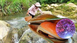 ️ Pearl Wonderland! The girl picked up a huge clam with an ocean of pearls inside 