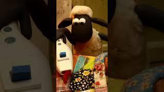 Shaun das Schaf - Chaos Kätzchen #shorts #shaunthesheep 