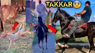 Horse Colony Mai Hi Aagye Aaj || RAFTAR Ki Takkar Ka Ghoda Mil Gya 