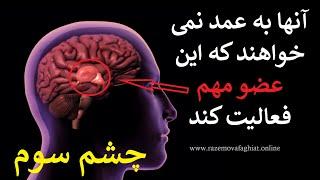 آنها به عمد نمی خواهند که این عضو مهم فعالیت کند! چشم سوم