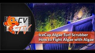 Algae Scrubbers EXPLAINED: How to Install IceCap's Algae Turf Scrubber to Reduce Nuisance Algae