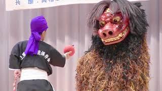 Shishimai - Okinawan Lion Dance in Naha