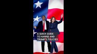 What are Kamala Harris and Donald Trump’s policies?