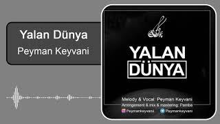 Peyman Keyvani - Yalan Dünya | پیمان کیوانی - جهان دروغین