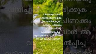 Life#nature#relationship #love #tamilsong #life leassons#malayalam #trendingshorts #stressrelief #