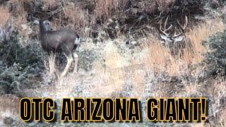 OTC ARIZONA ARCHERY DEER HUNTING