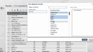 EasyBusiness B2B Database Demo - Display the company result list