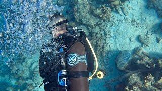 The First International Avelo Dive Center | Dive Friends Bonaire