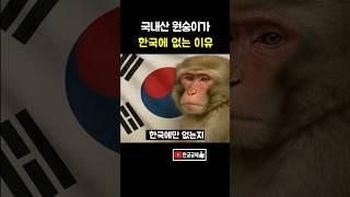 국산원숭이가 없는 3가지 이유