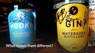 What Is the Difference Between Gin and Vodka (Gin vs Vodka) » HomeBrewAdvice.com