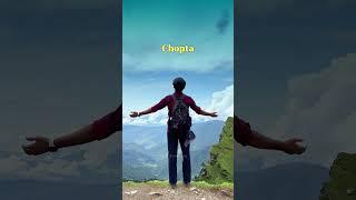 Chopta tungnath in summers | chandrashila   trekking | #mountains #trekking  #travel