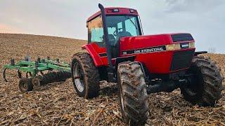 Chisel Plowing With The 7120 Case IH Magnum! (2024 Fall Tillage)