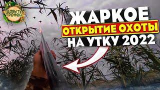 САМОЕ ЖАРКОЕ ОТКРЫТИЕ ОХОТЫ на УТКУ | ОСЕНЬ 2022