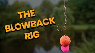 How to Tie a Blowback Rig for Carp Fishing: A Guide for Carp Anglers